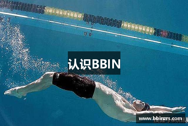 认识BBIN
